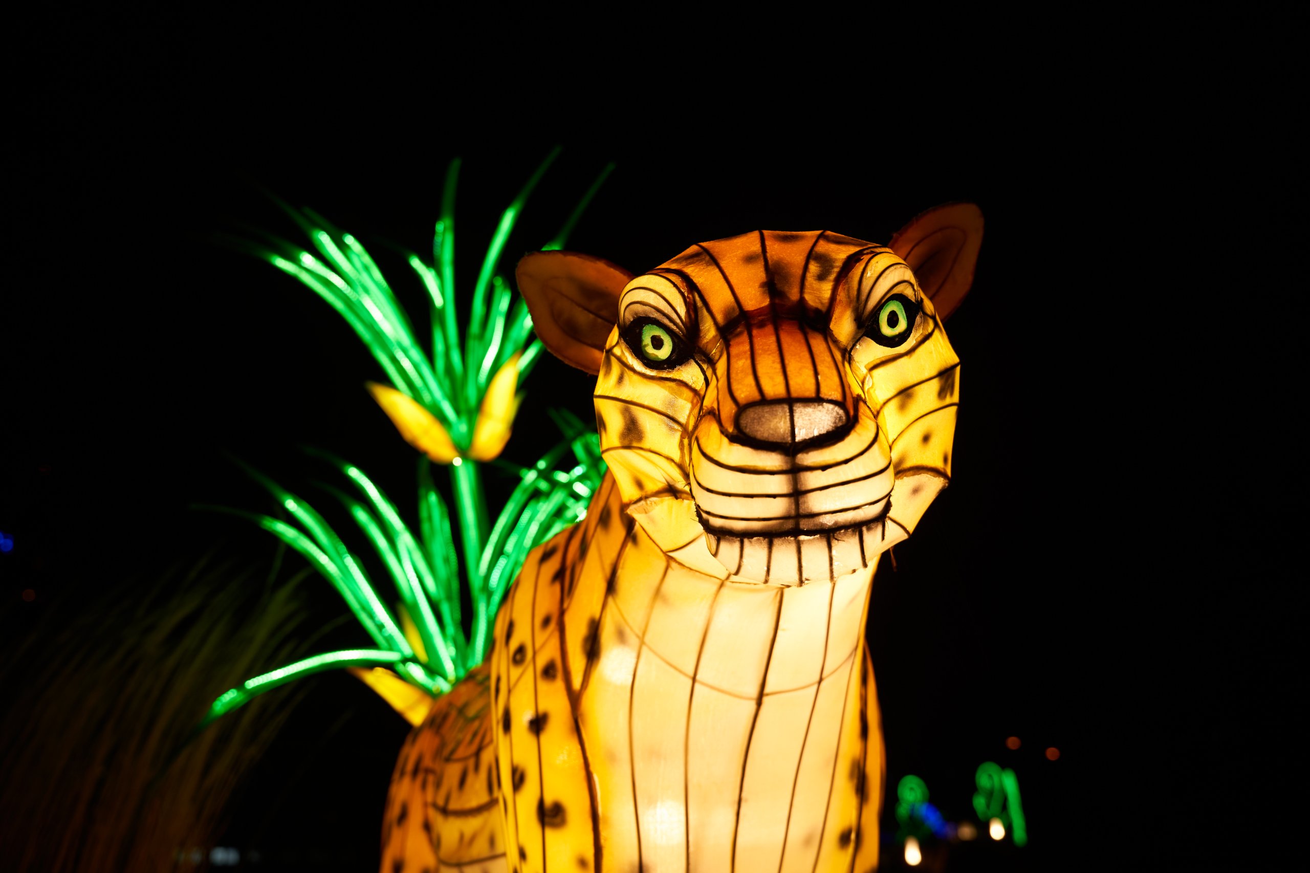 2024 01 03 Köln Zoo China Lights 1084